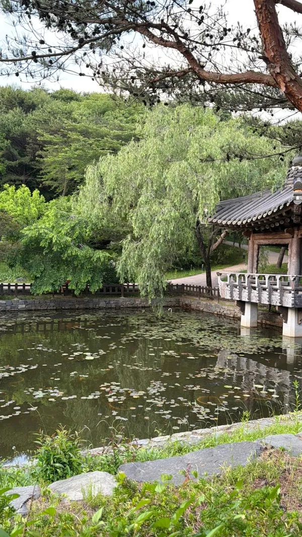 안면도수목원