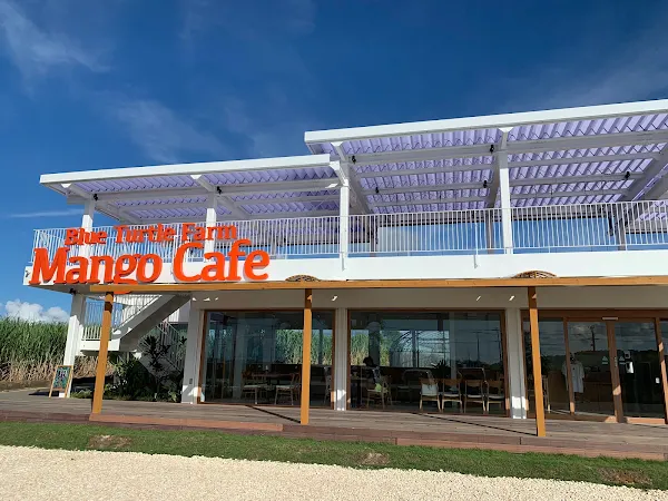 Blue Turtle Farm Mango Cafe
