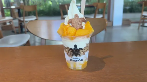 Blue Turtle Farm Mango Cafe 사진 2