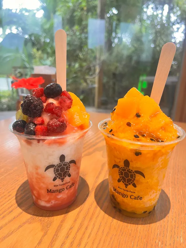 Blue Turtle Farm Mango Cafe 사진 4