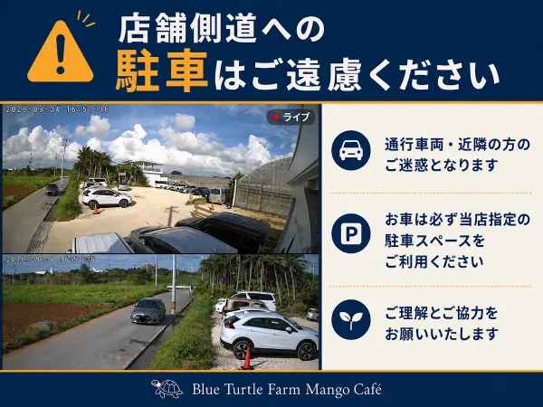 Blue Turtle Farm Mango Cafe 사진 5