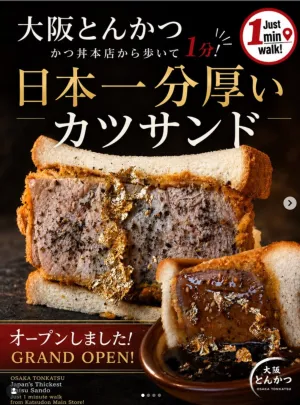 Katsu Sando Chiyomatsu