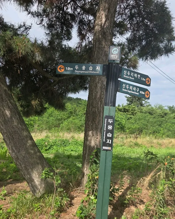 태안신두리해안사구 사진 3