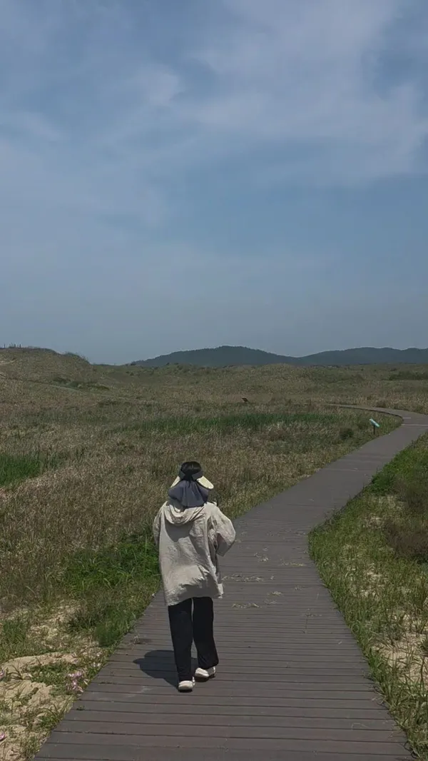 태안신두리해안사구 사진 5
