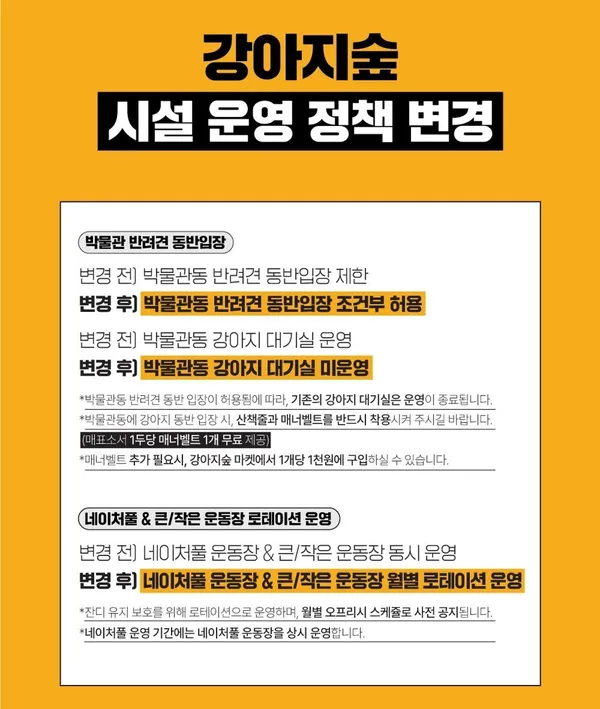 강아지숲 사진 3