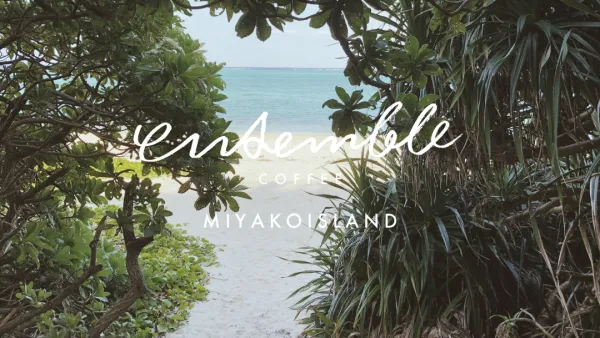 ensemble coffee miyakoisland 사진 4