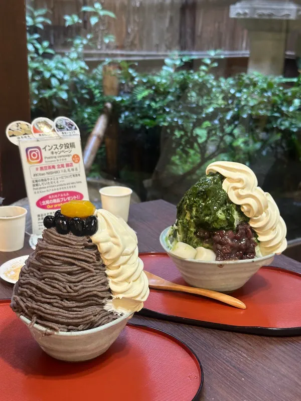 구로마메시안 기타오 사진 4
