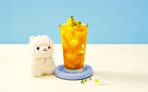 ナインブロック ビュー パルダン店