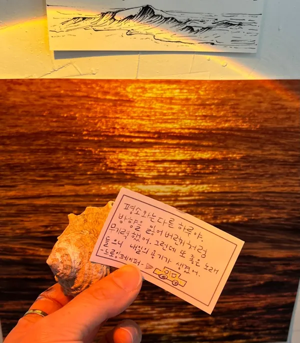바다바란 사진 4