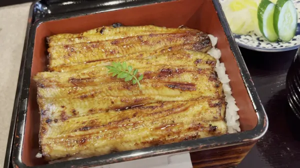 Eel Kamogawa 사진 2