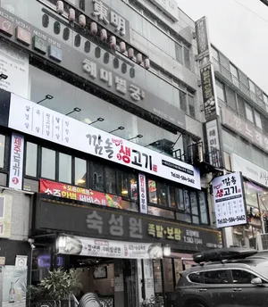 Kkamnol Saenggogi