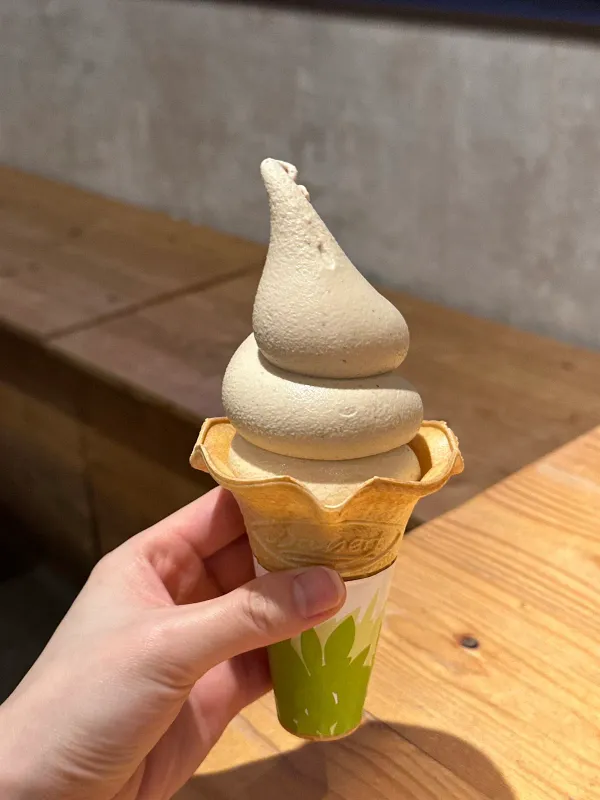 코타루 사진 5