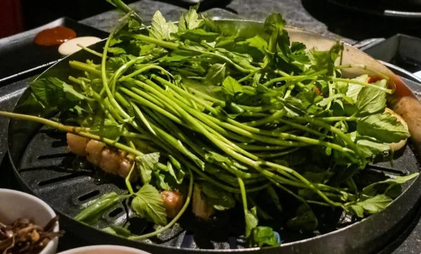 죽마고돈