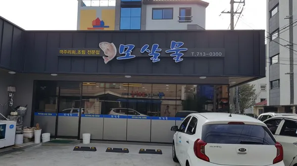 모살물 본점