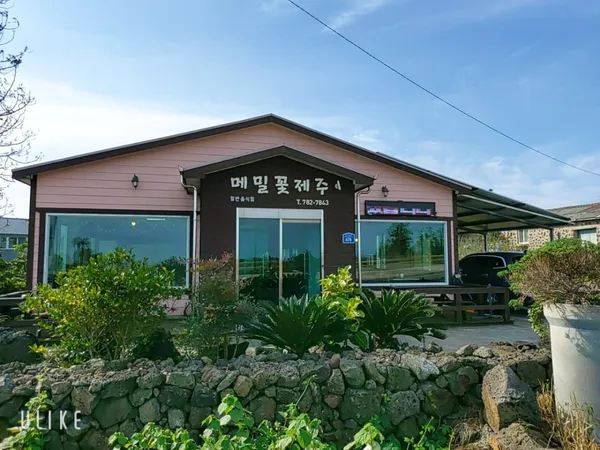 메밀꽃제주