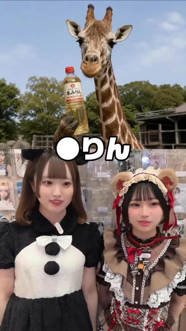 IDOL magic fantasy アイドルマジックファンタジー 사진 2