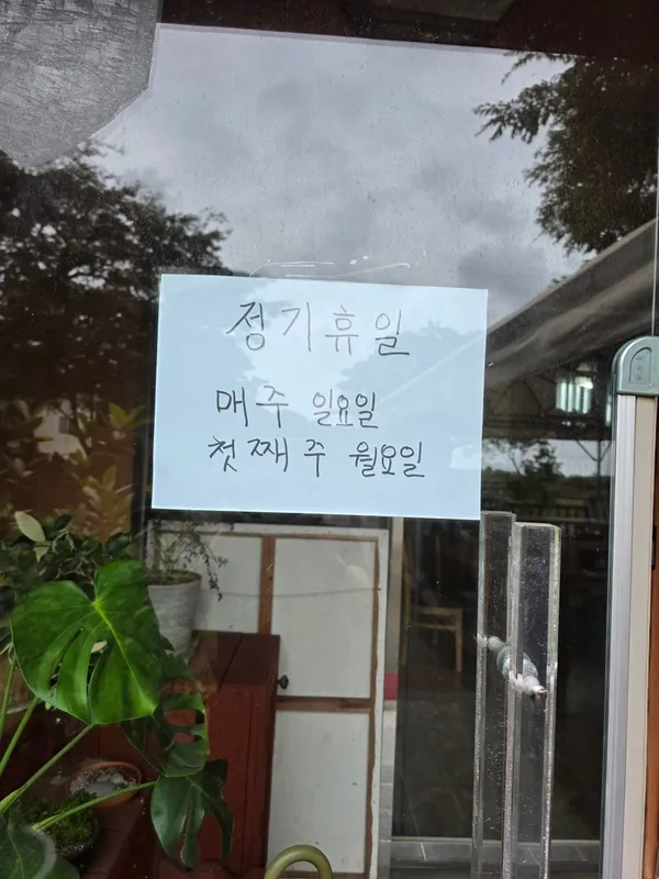 비자향