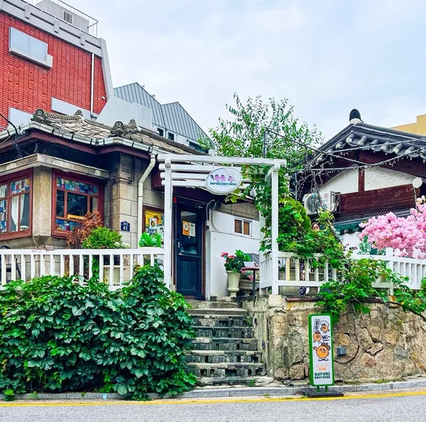 도토리브라더스 광화문본점