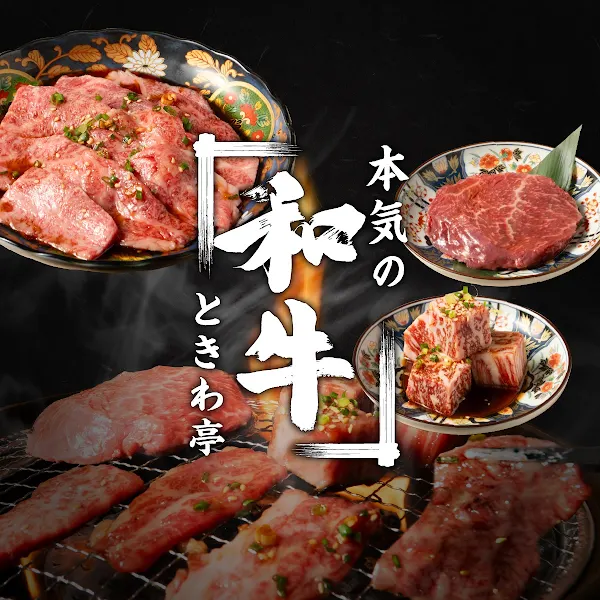 0초 레몬사와 토키와테이 하루요시점 사진 5