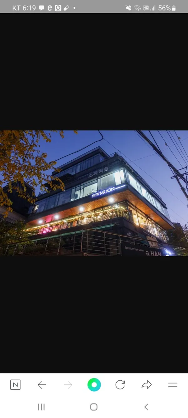 뉴문