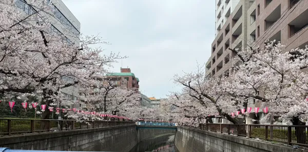 Fujiki Ikejiri-Ōhashi 사진 2