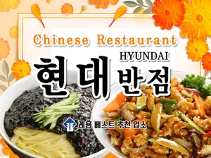 Hyundai Ban