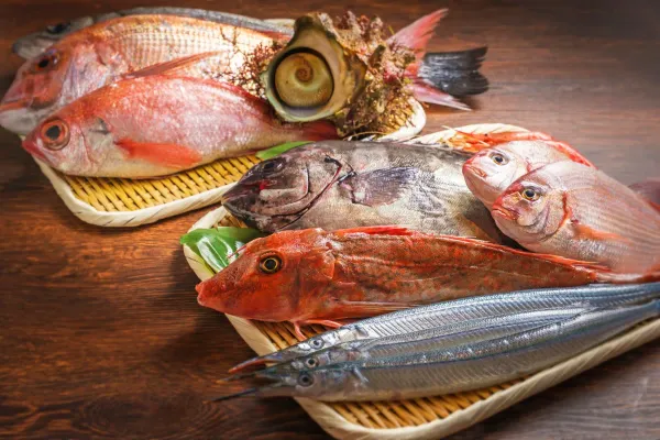 魚まみれ眞吉 渋谷店 사진 3
