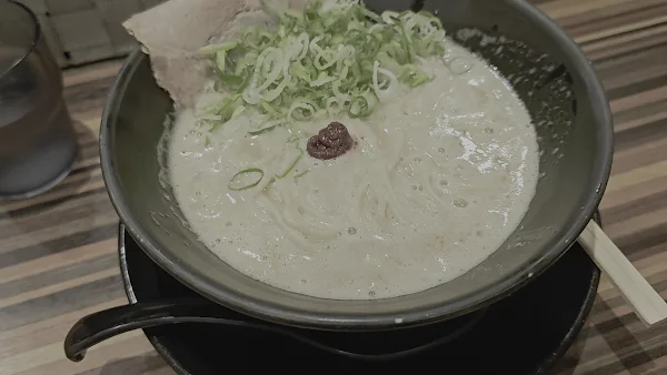 초돈코츠 노우도 8 라멘 사진 2