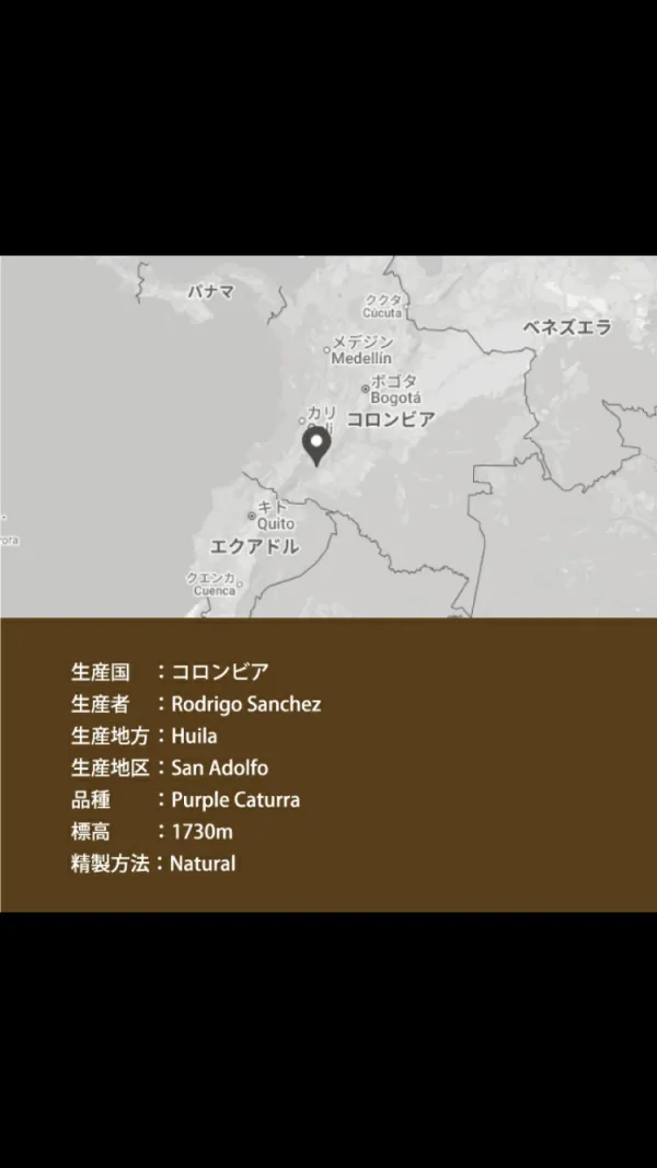 The Coffee Market Lab 사진 4