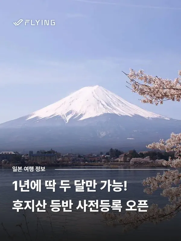 플라잉재팬 난바 짐보관센터