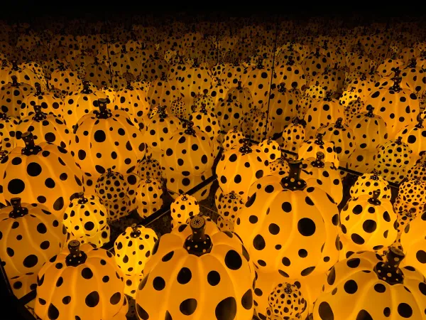 YAYOI KUSAMA Museum 사진 4