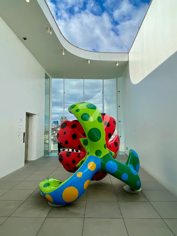 YAYOI KUSAMA Museum 사진 5