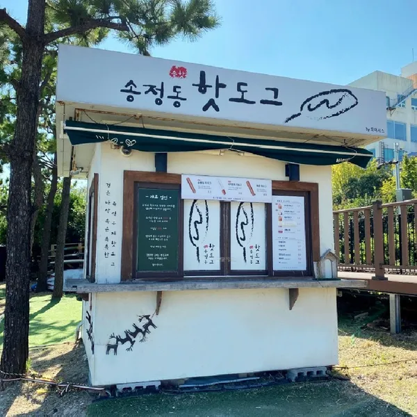 송정동핫도그 바다점