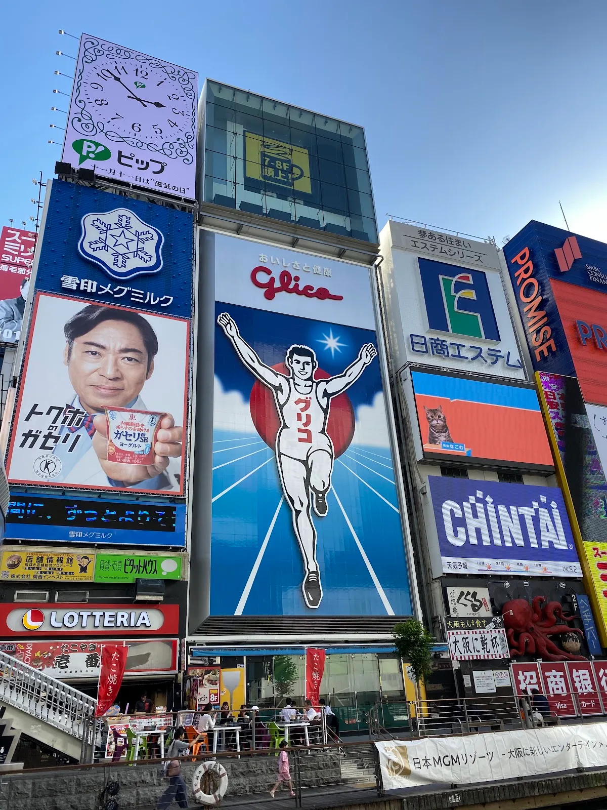 글리코사인 대표 사진