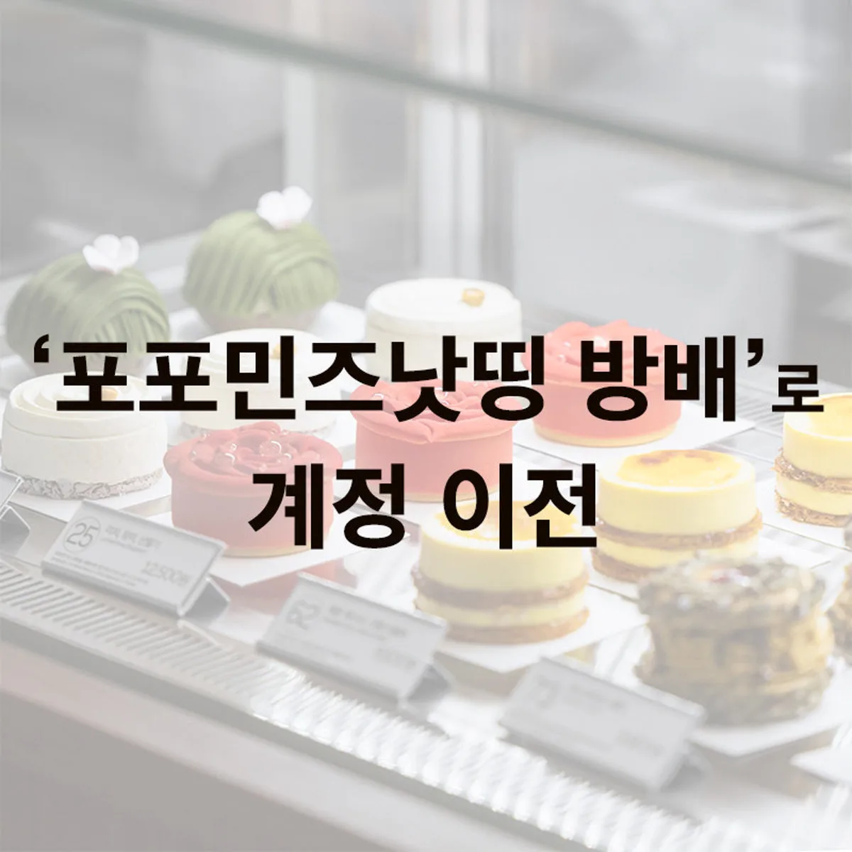 포포민즈낫띵