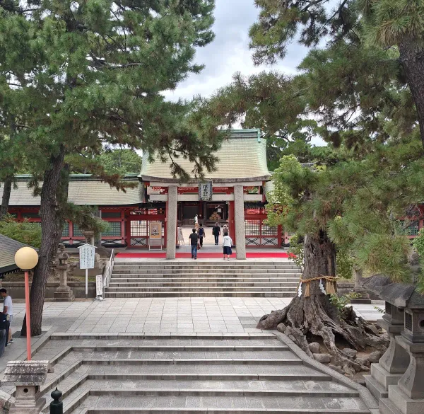 住吉大社の写真3