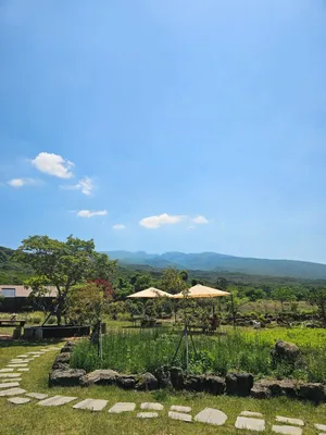 Seupuremutta