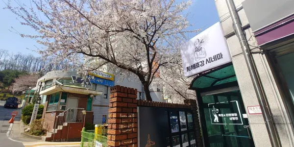 자체휴강시네마