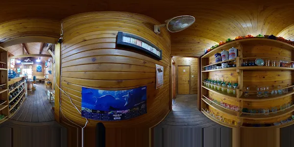 沖縄そばと島どうふ【TOPU】