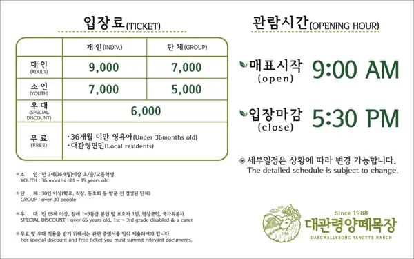 대관령양떼목장 사진 2