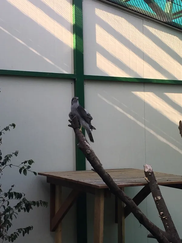 제주자연생태공원 사진 4