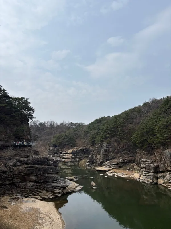 송원막국수 사진 3