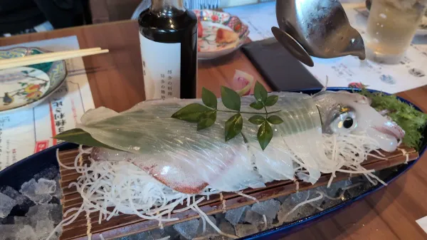하카타 토비우오 사진 2