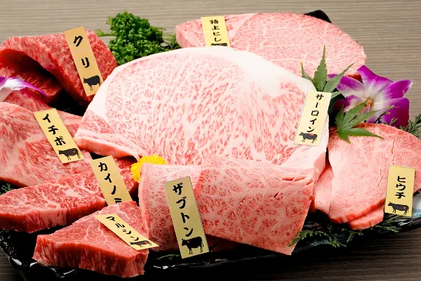 하치로쿠 잇토규 사진 4