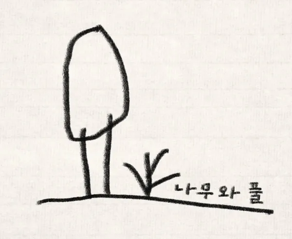 나무와풀