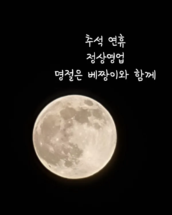 베짱이컴퍼니