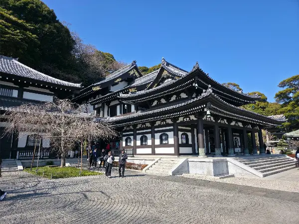 하세데라