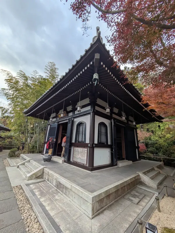 하세데라 사진 5