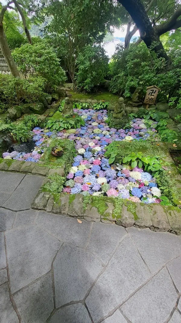 長谷寺の写真4