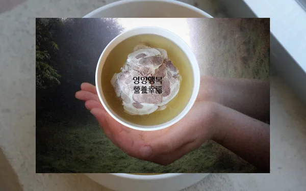 영양행복